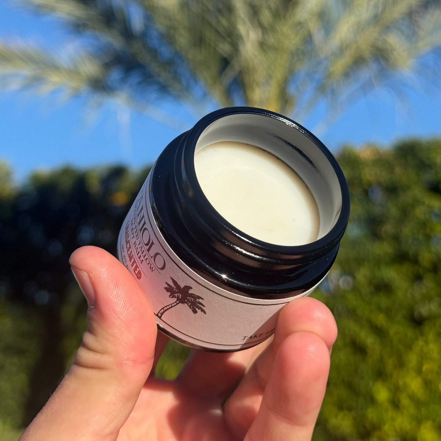 Honey & Tallow Balm