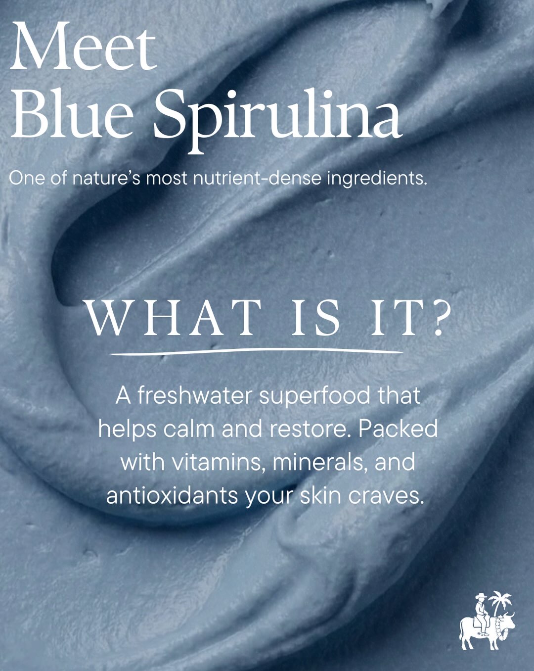 "The Nightly" Antioxidant Over-night Face Moisturizer